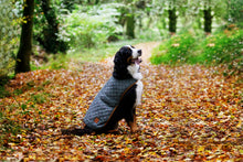 Load image into Gallery viewer, Castle Canine Couture Ashford Castle Boutique