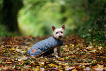 Load image into Gallery viewer, Castle Canine Couture Ashford Castle Boutique