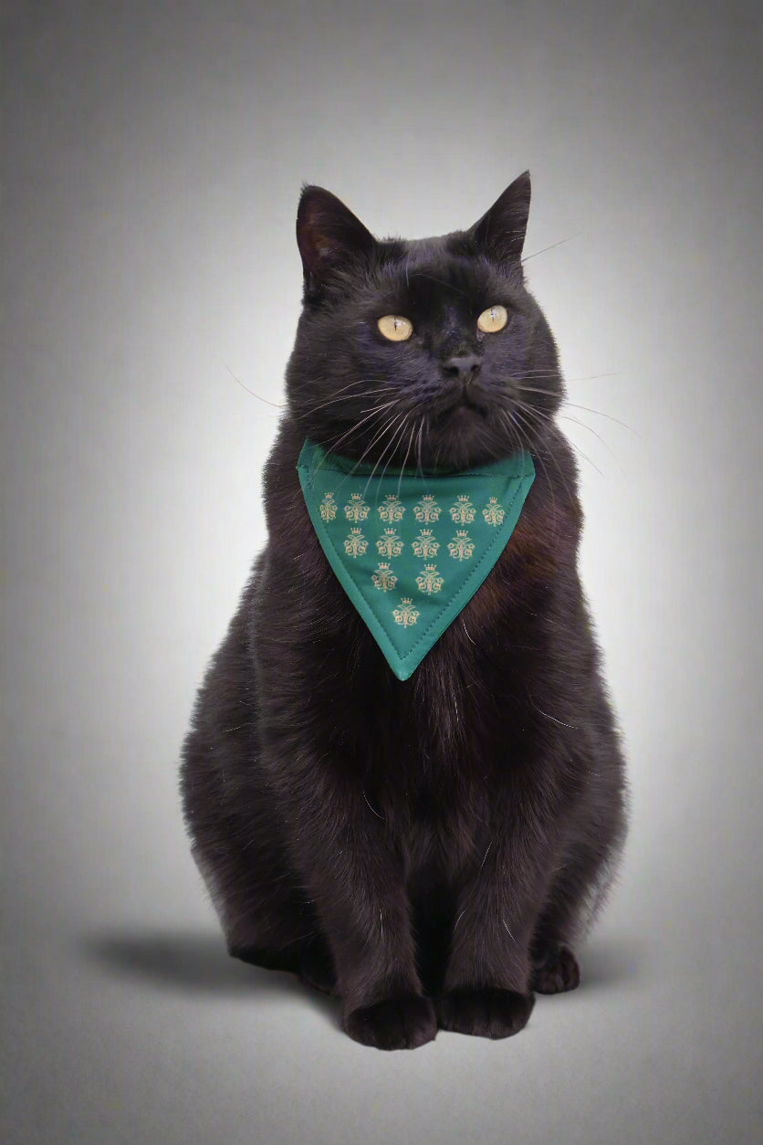 Ashford Castle Pet Bandana Mrs Tea's Boutique and Bakery