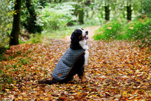 Load image into Gallery viewer, Castle Canine Couture Ashford Castle Boutique
